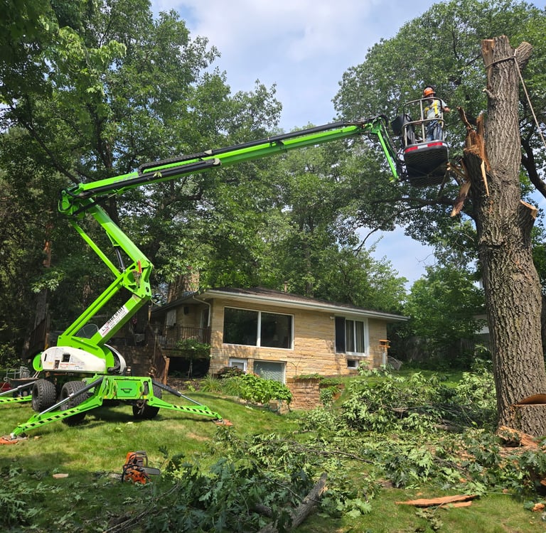 tree removal services in eden prairie mn