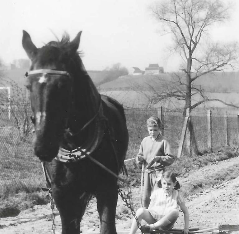 Oude foto van twee kinderen die met een paard een ploegmachine over het land bedienen bij Hoeve Dinjens in Maastricht.