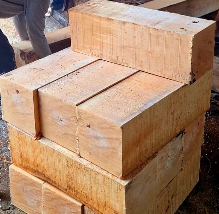 Kami adalah distributor dan penyedia kayu konstruksi terkemuka yang berfokus pada pemenuhan kebutuha