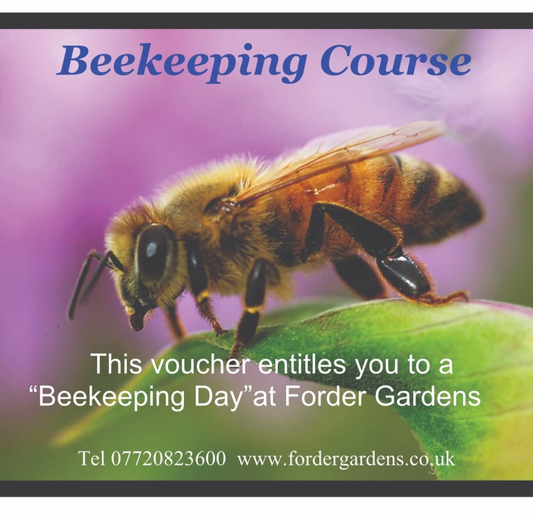 Beekeeping , Gift Vouchers