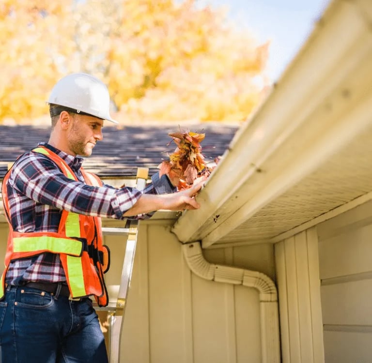 Professional gutter cleaning service in Lakeland FL