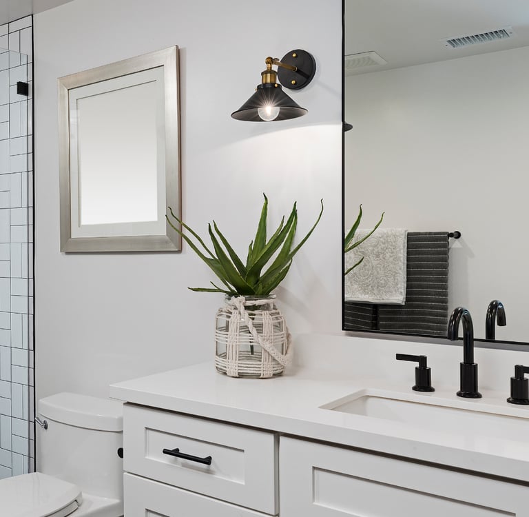 Precision Painting Auckland - Paint Colour Guide