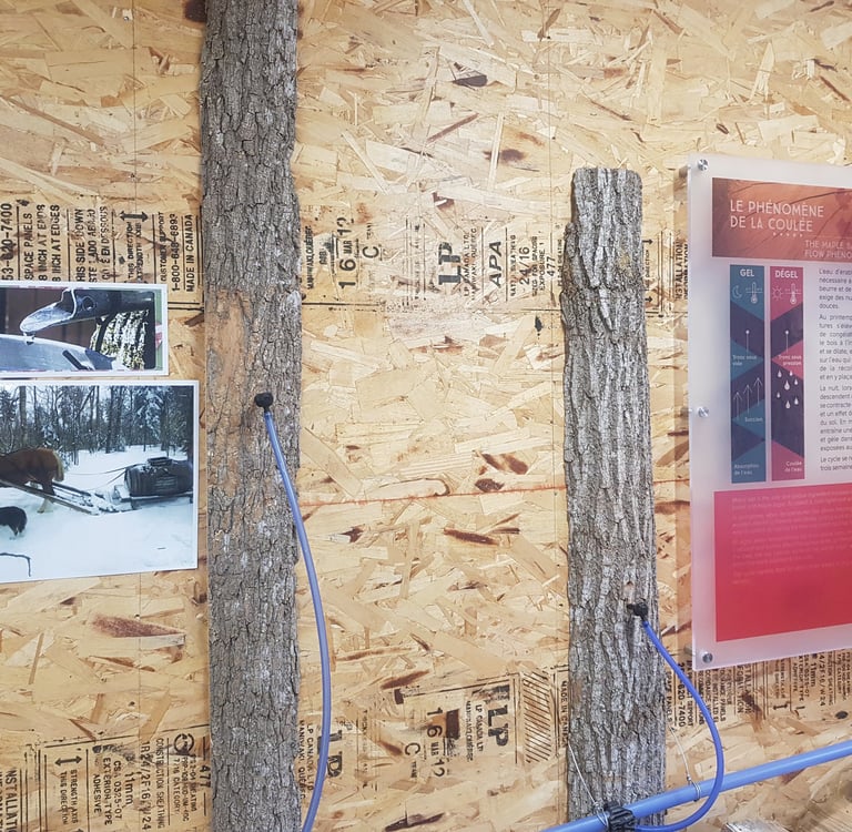 cabane-a-sucre-chez-danny-quebec-tire-erable