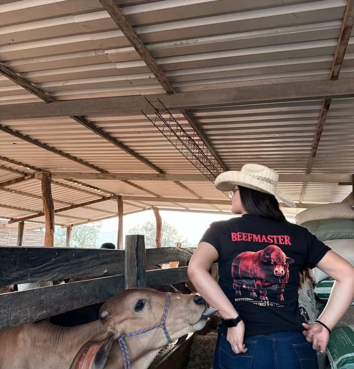 Woman in a Beefmaster t-shirt standing near a light brown calf in a rustic cattle barn.