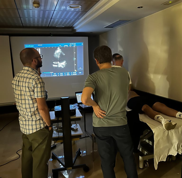 Taller de Ecografía de Urgencias. Búsqueda de las diferentes ventanas cardiacas básicas