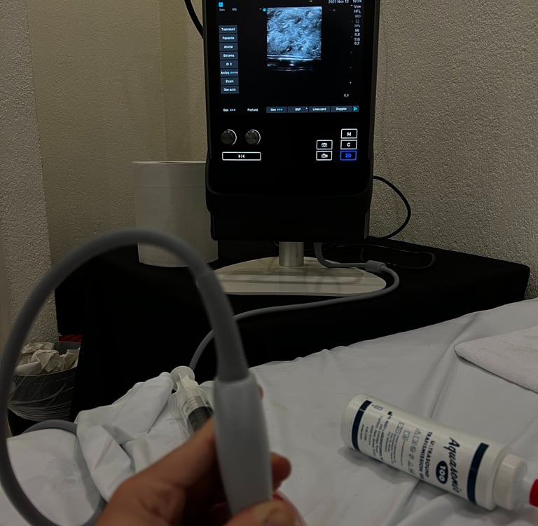 Taller de canalización ecoguiada de vía venosa periférica