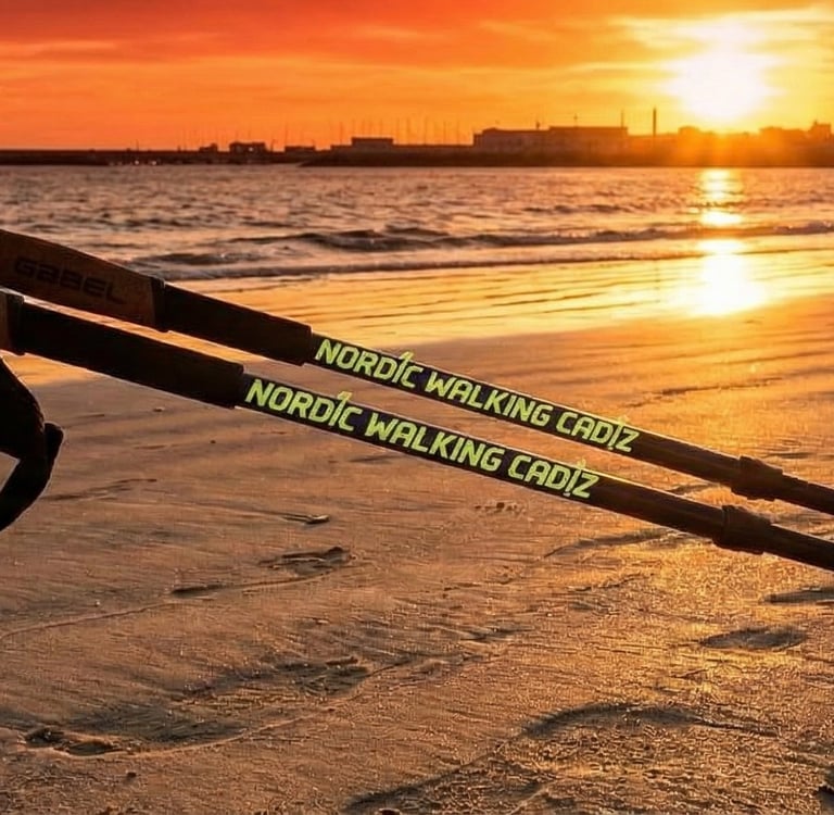 Nordic walking poles resting on a sandy beach at sunset, perfect for fitness trekking by the ocean.