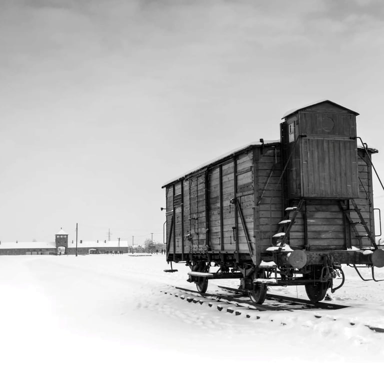Schiene nach Auschwitz