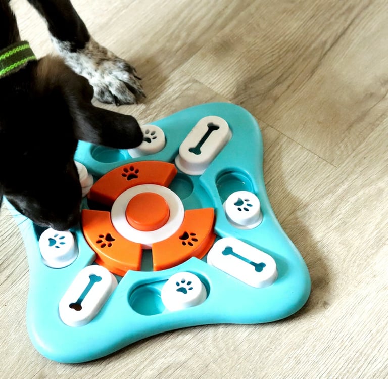 Hond lost actieve intelligentiepuzzel op voor beloning