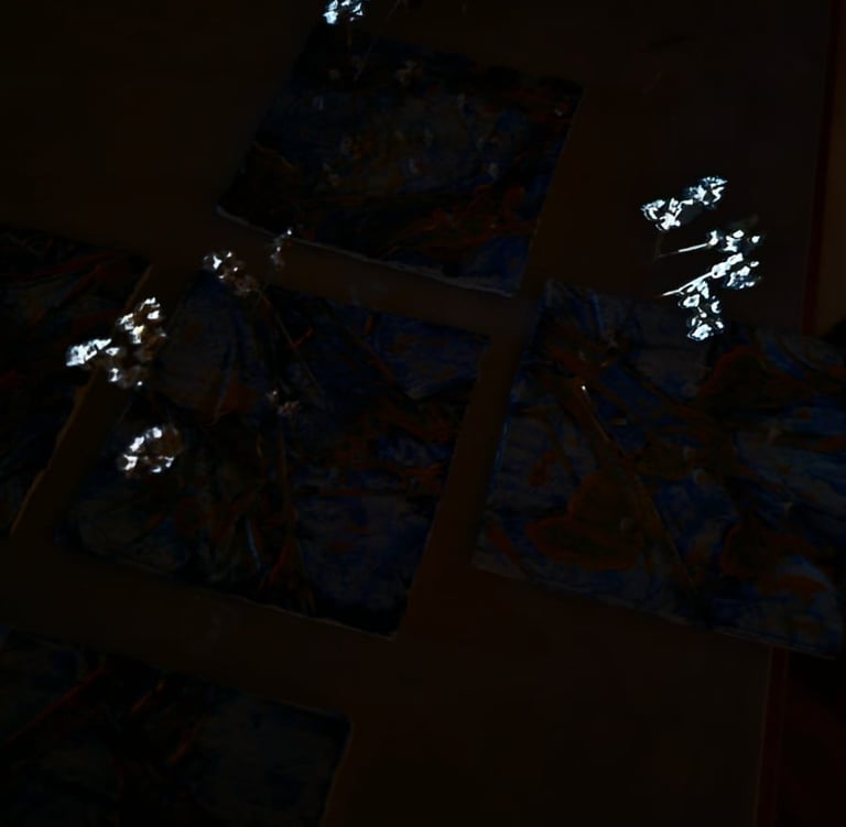 First sun in the studio photographed by Nikoru