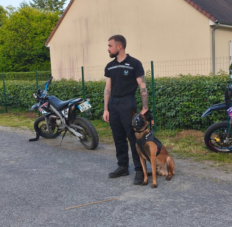 agent sécurité cynophile châtellerault poitiers descartes