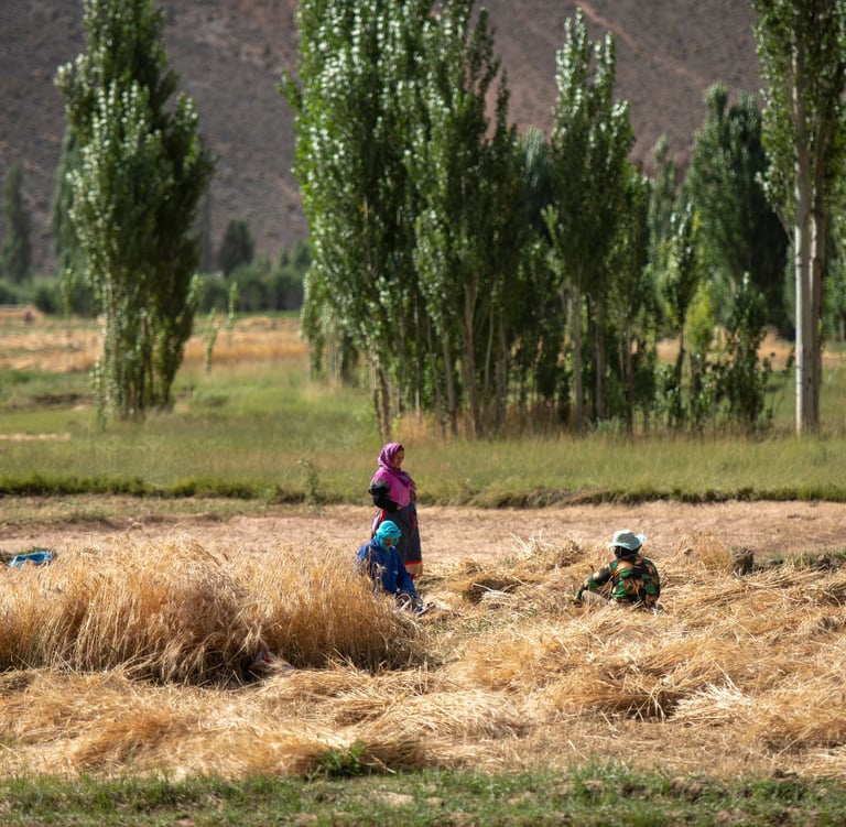 Rural women in agriculture