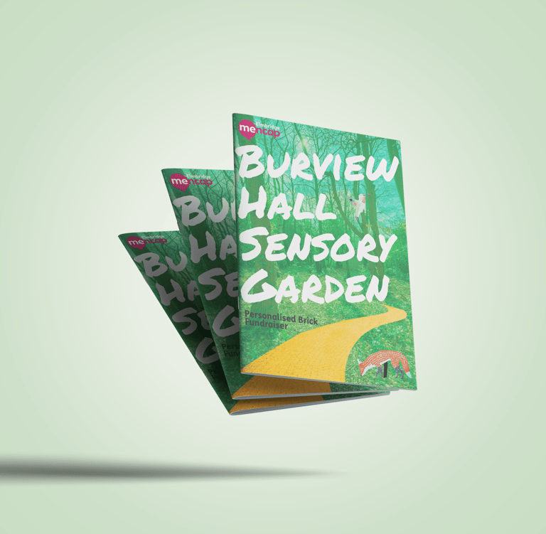 burview sensory garden mencap charity campaign leaflet with yellow brick road theme and mosaics