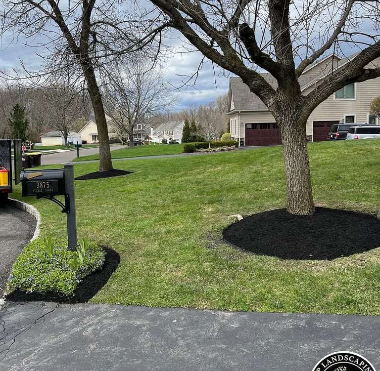 excellent landscaping and hardscaping of grass, stones and trees by NP Landscaping