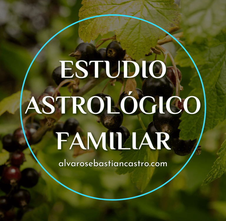 mapa familiar astrológico por álvaro sebastián castro 