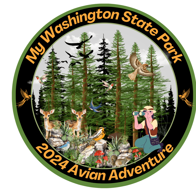 Washington State Park Bird Watching Adventure