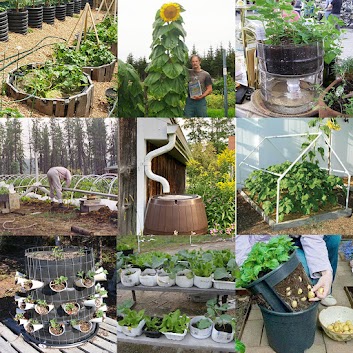 planting and maintaining a DIY off the grid garden