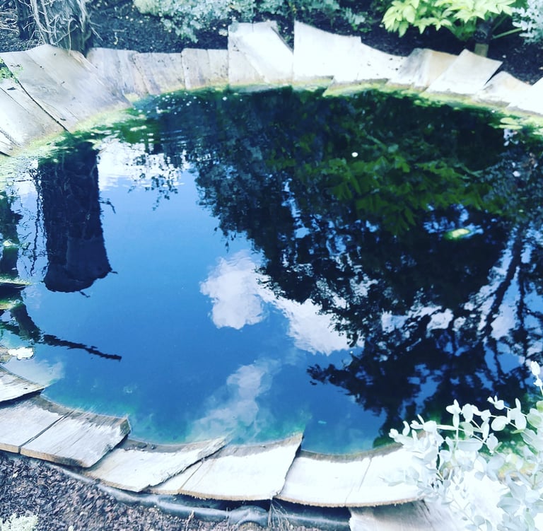 bassin comme un oeil symbolisant le travail en RITMO (retraitement des infomations traumatiques par des mouvements oculaires