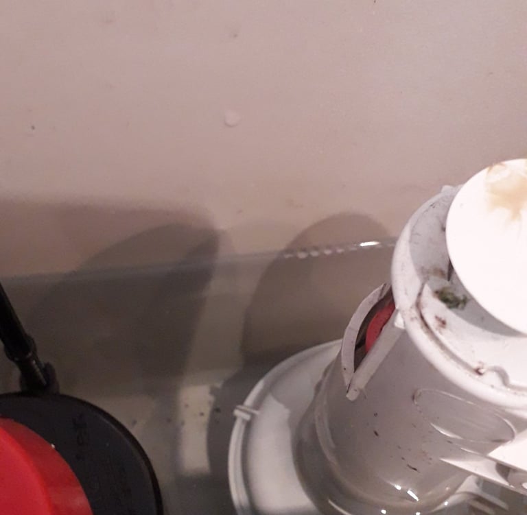 leaking toilet in Umberleigh