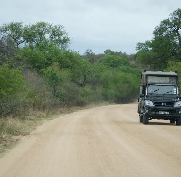 Kruger Nationalpark; Safari Südafrika