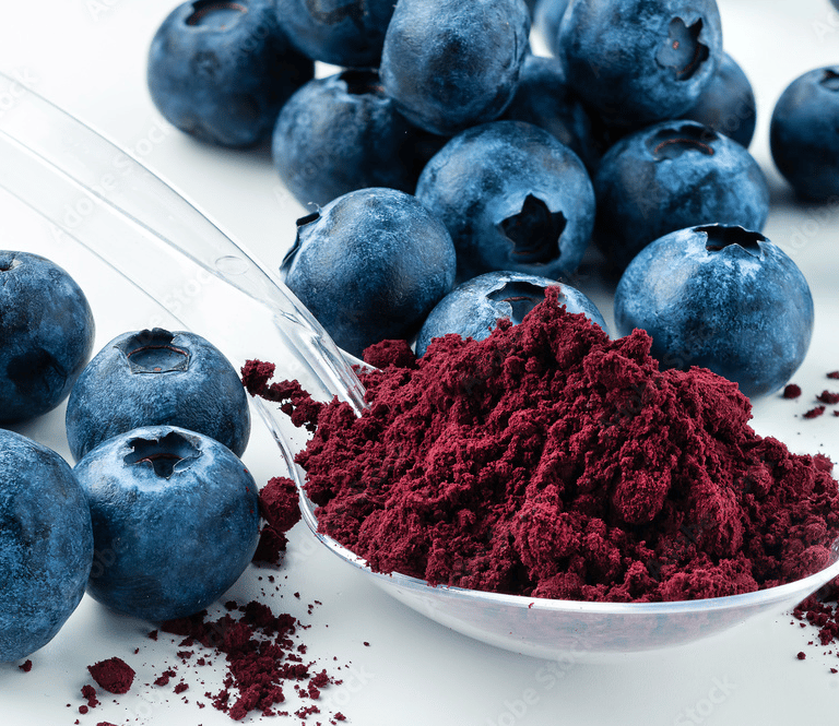 liofilizuotos uogos ir jų milteliai, šaltyje džiovintos mėlynės