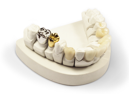 Crown, Bridge, Denture Laboratory