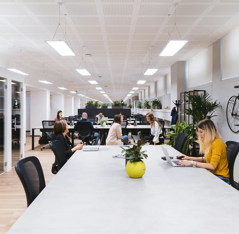 Young freelancers and solo professionals working in a bright, white, modern co-working space.