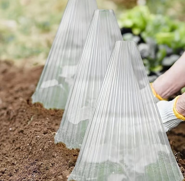 Seedling Tray