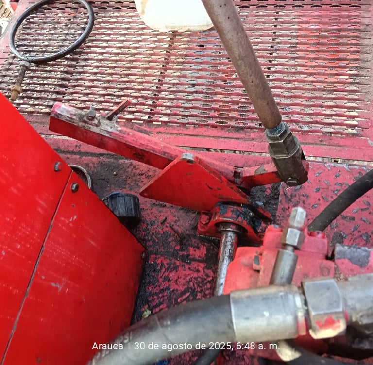 palancaje o varillaje de la patecabra