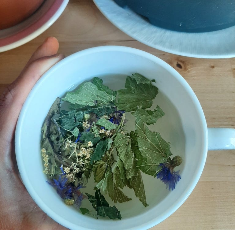 Tasse de tisane naturopathie Céline Navarro