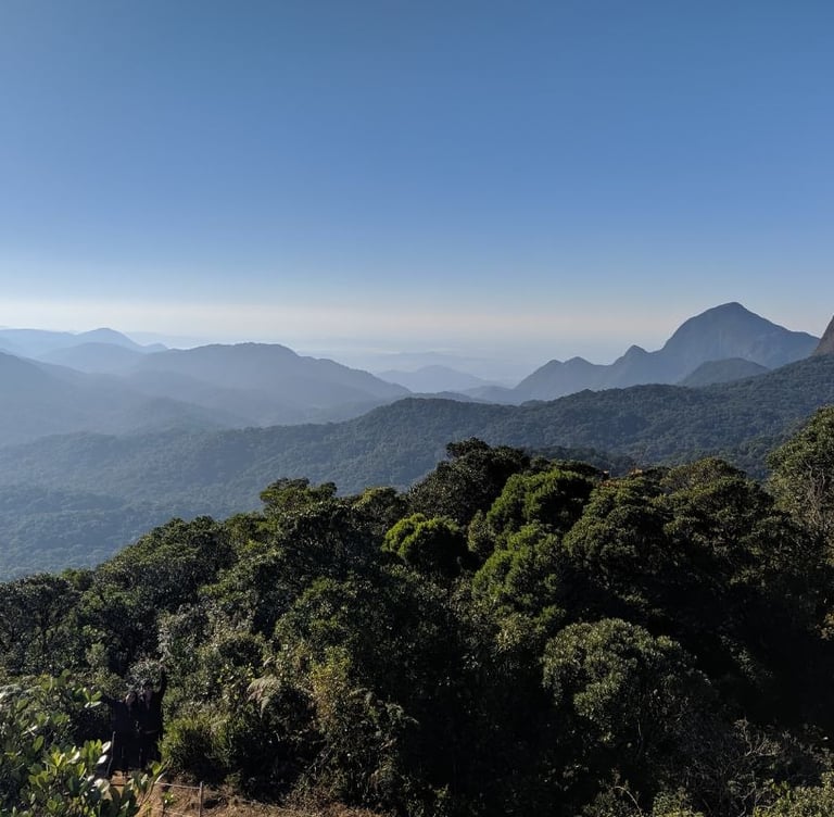Atlantic Forest ecoregions of Brazil