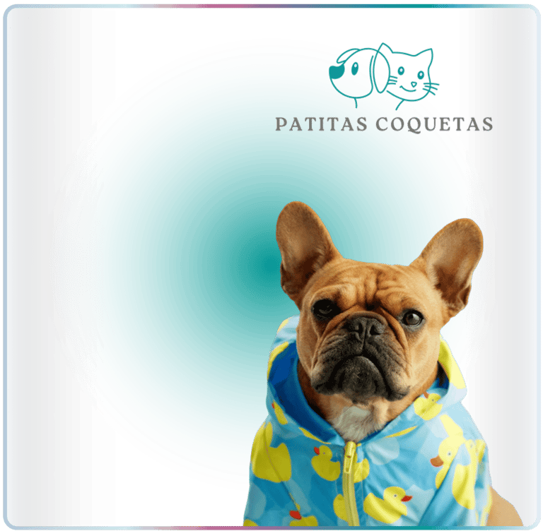 Bulldog francés con un impermeable azul con patitos amarillos de la tienda Patitas Coquetas.