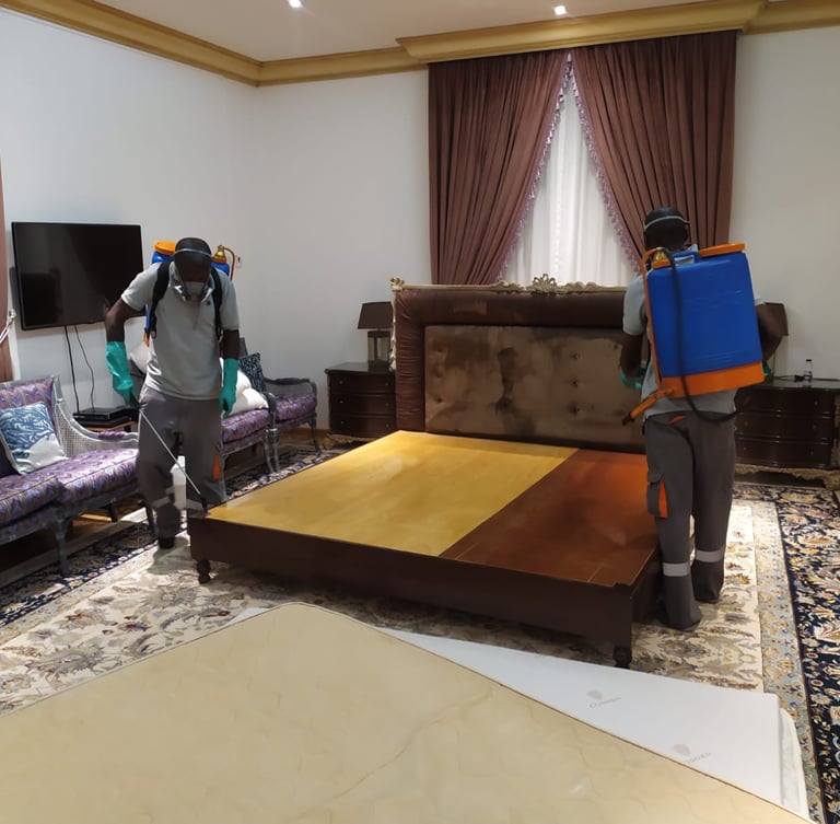 العمال يرتدون الأقنعة والأدوات يقومون برش المراتب وأماكن تواجد بق الفراش بطريقة أمنه وفعالة