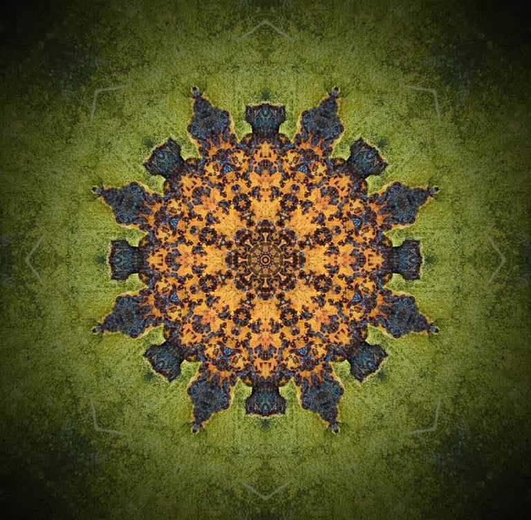 regresijas terapija cena