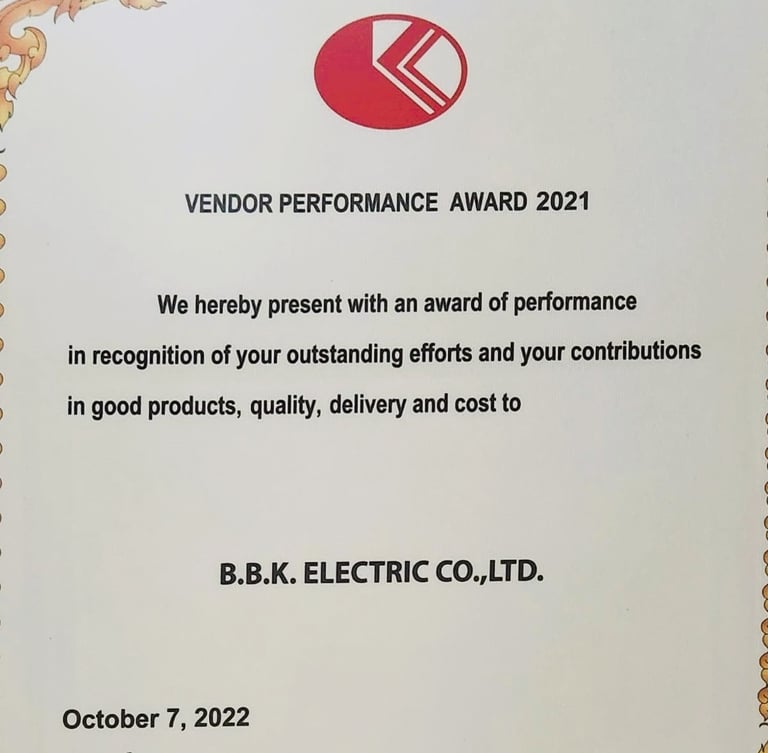 Performance winning award year 2021 for BBK Electric