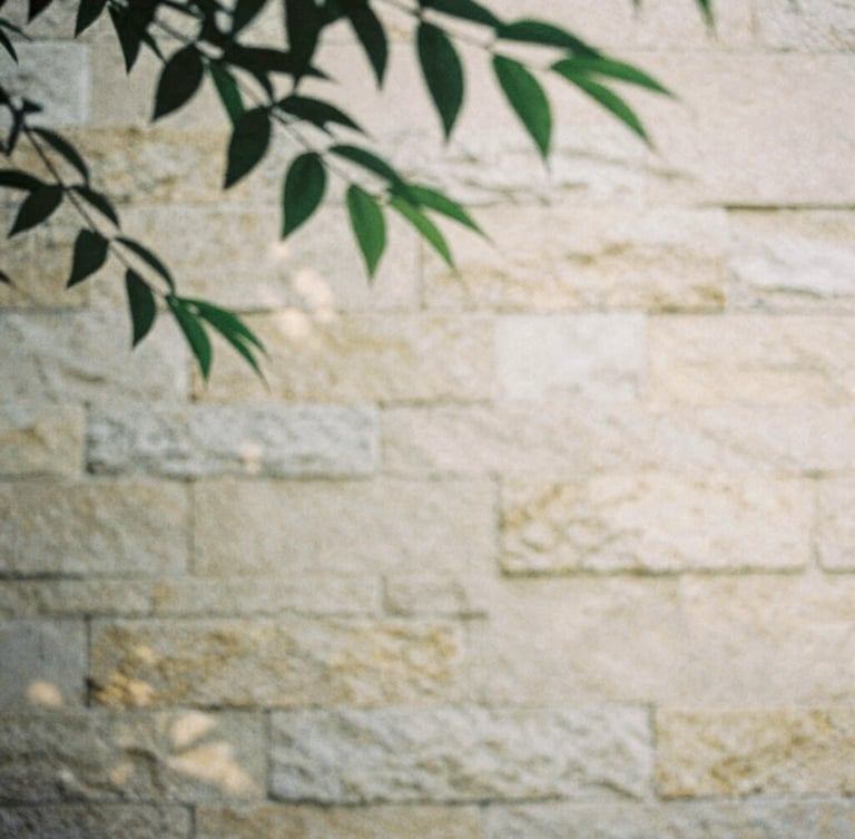 Soft light filtering through green leaves, casting gentle shadows on a warm stone wall, minimalist film photography, desaturated tones
