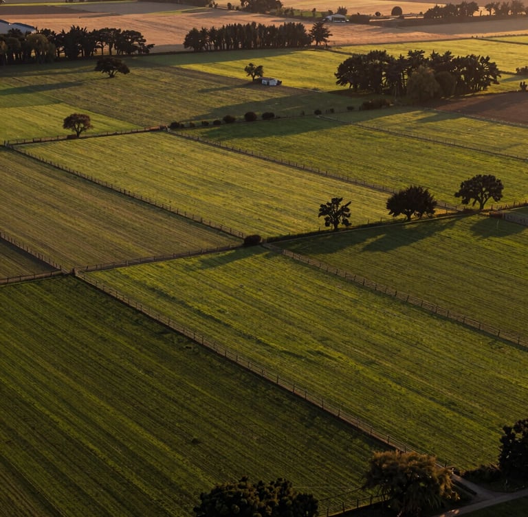 Vista aérea cenital de parcelas agrícolas en el sur de Chile, subdivisiones limpias con cercos de madera, praderas verdes y árboles nativos bajo luz dorada del atardecer, encuadre geométrico y ordenado.