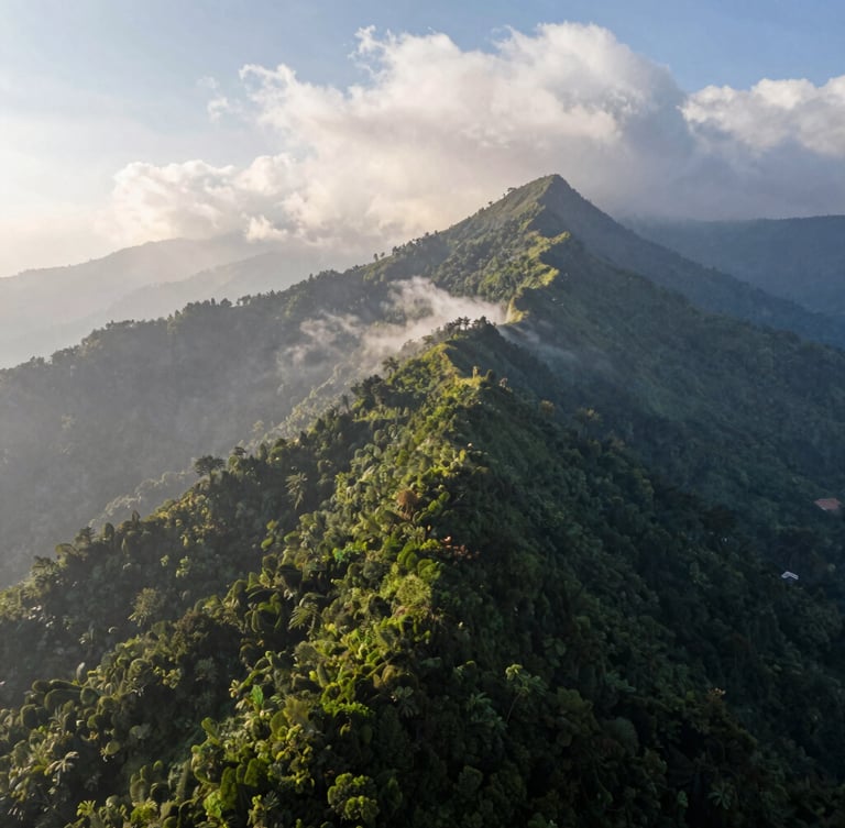 Wide environmental aerial view of the lush Phulchoki mountain ridge in Nepal, crisp morning sunlight cutting through alpine clouds, dramatic scale with deep green forest canopy, negative space on the left.
