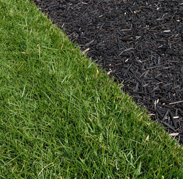 Tight detail shot of a crisp, perfectly edged green lawn meeting a dark mulch bed, bright midday sun, clean lines, high contrast