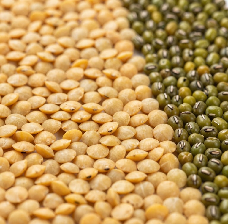 Macro overhead shot of sorted golden lentils and polished green mung beans in clean, structured rows, bright natural daylight, rich saturated earth tones, sharp focus.