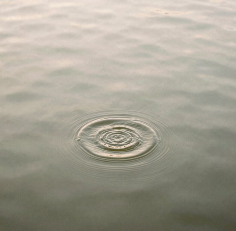 Quiet environmental macro shot of water ripples on a still pond, soft overcast daylight, muted sage and sand tones, 35mm film texture