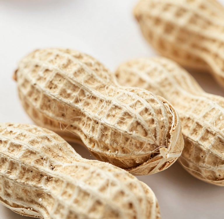 Macro texture of compressed peanut shell briquettes, cylindrical logs showing natural fiber layers, soft overcast daylight, 35mm lens.