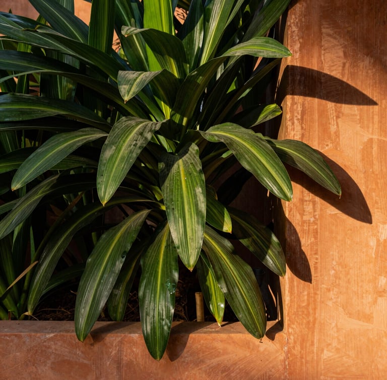 A close-up portrait of textured native Brazilian foliage and architectural terracotta elements in a warm morning shadow