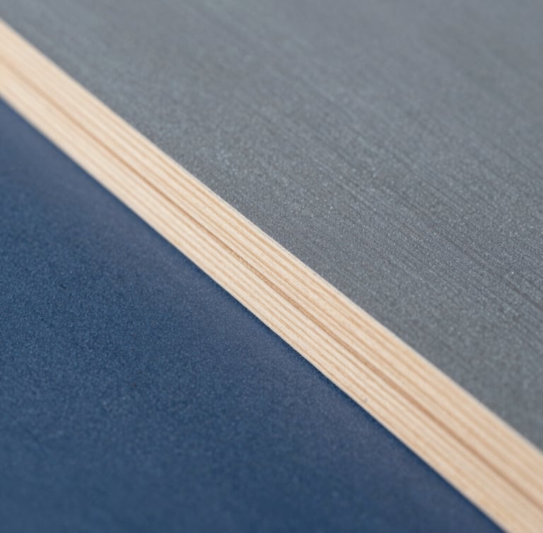 Macro close-up of a perfectly sanded wooden trim, clean lines, professional dust-free sanding setup, bright natural daylight