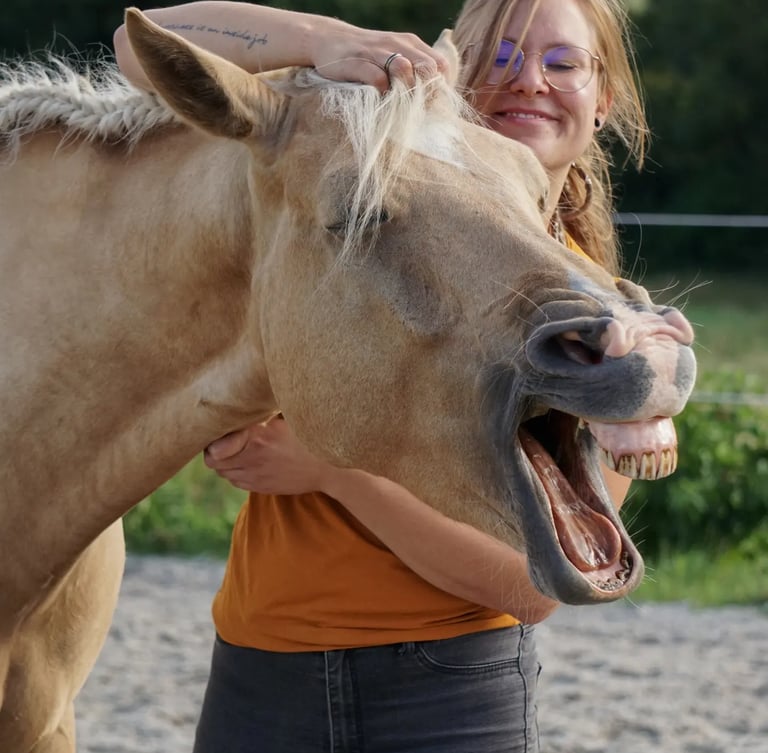 Pferdetherapie, Pferdeosteopathie Eifel, Entspannungszeichen Pferd, relax Pferd