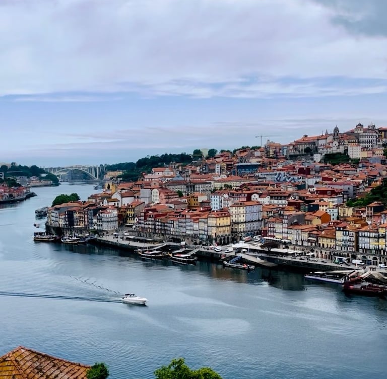 small group rooftop port wine tasting with best views of Porto