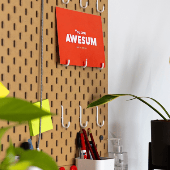 Awesum wordpress website laten maken - wordpress development