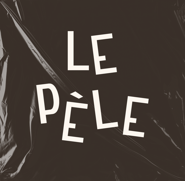 Pochette vinyle le pèle
