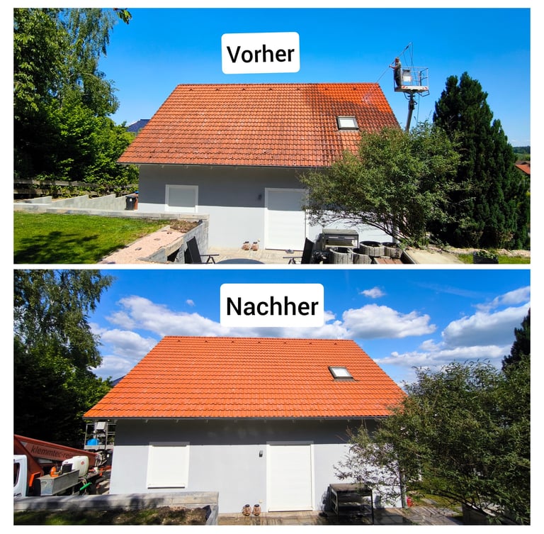 dachreinigung-bad-kreuznach-vorher-Nachher.jpg