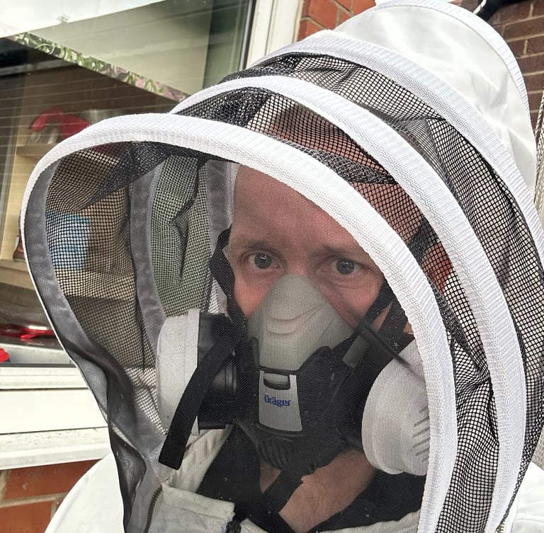 Wasp suit wasp treatment Newcastle